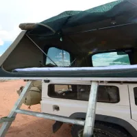 gecko-kruger-camp-experience-kruger-national-park-skukuza-road-xpsqr