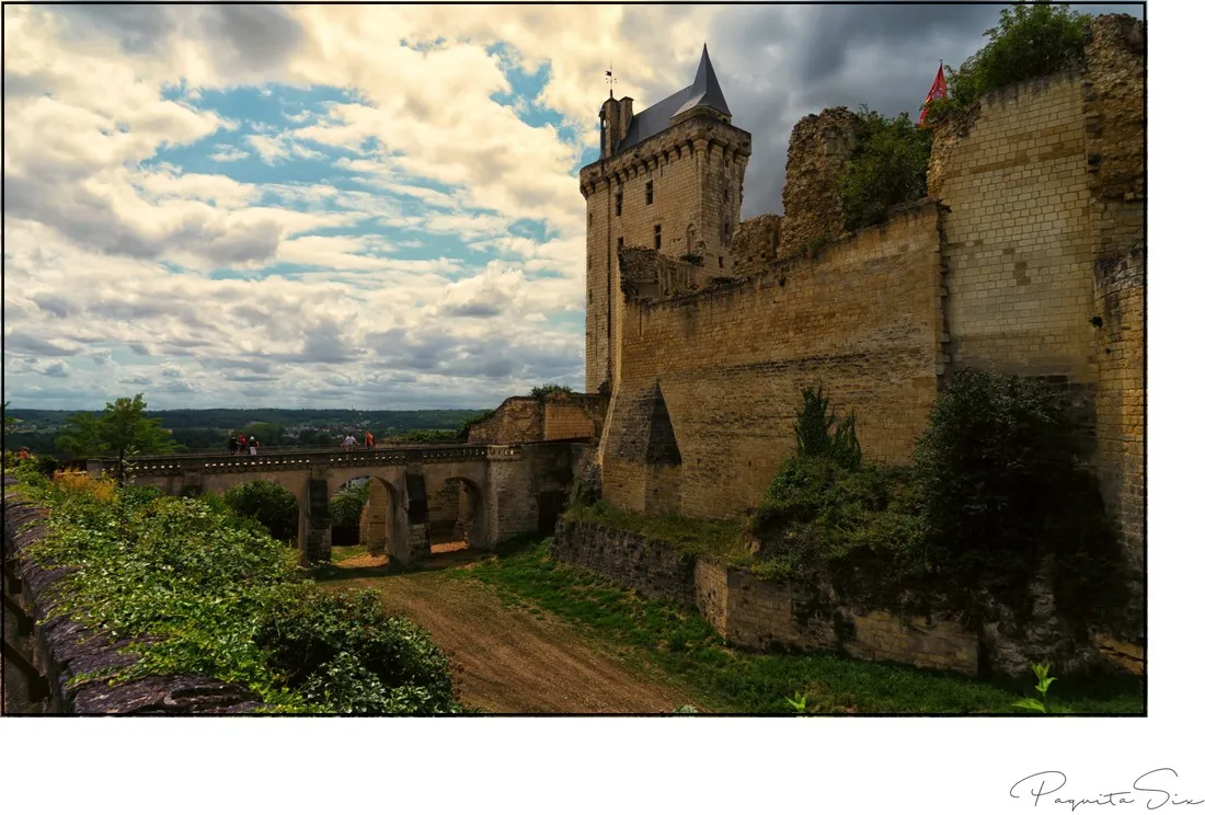 domaine-de-la-breche-varennes-sur-loire-maine-et-loire-linxw