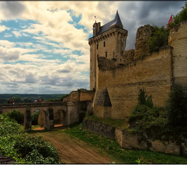 domaine-de-la-breche-varennes-sur-loire-maine-et-loire-linxw