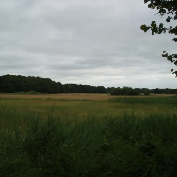 t-reestdal-balkbrug-pr6yx