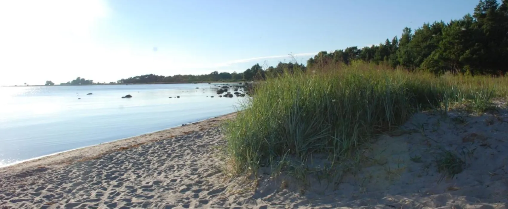 Björkhaga Strandby