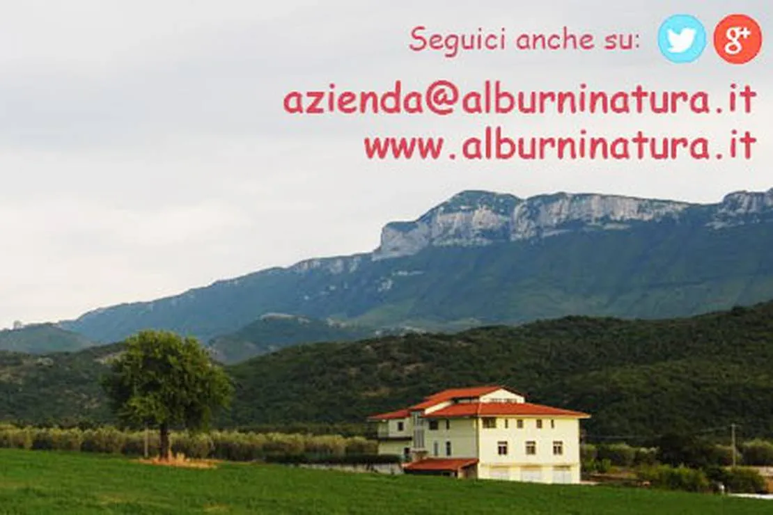 alburni-natura-agricampeggio-sicignano-degli-alburni-ktwhh