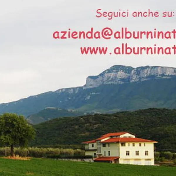 Alburni Natura Agricampeggio