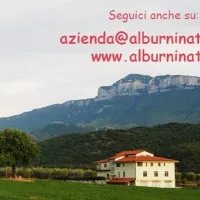 Alburni Natura Agricampeggio