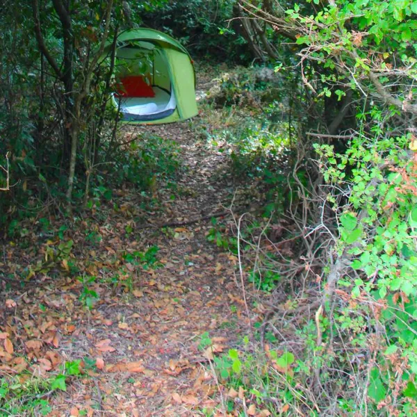 agape-farm-camp-ljesevici-villagetivat-vtokw