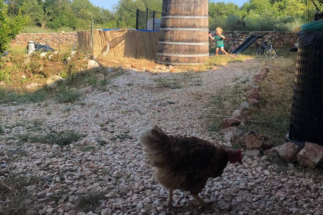 agape-farm-camp-ljesevici-villagetivat-y29mn