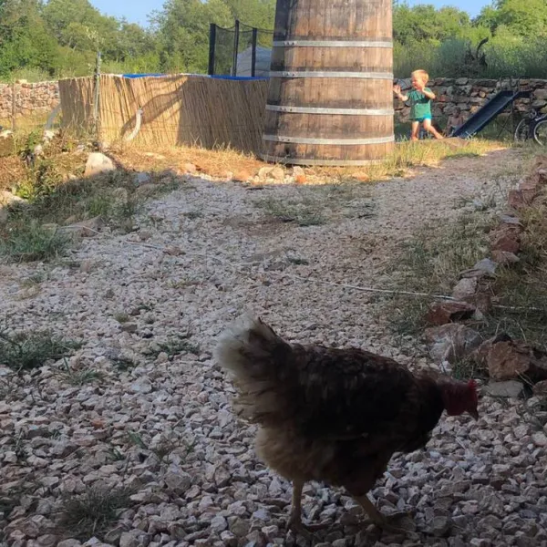 agape-farm-camp-ljesevici-villagetivat-y29mn