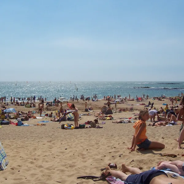 pong-landevieille-vendee-wbdak