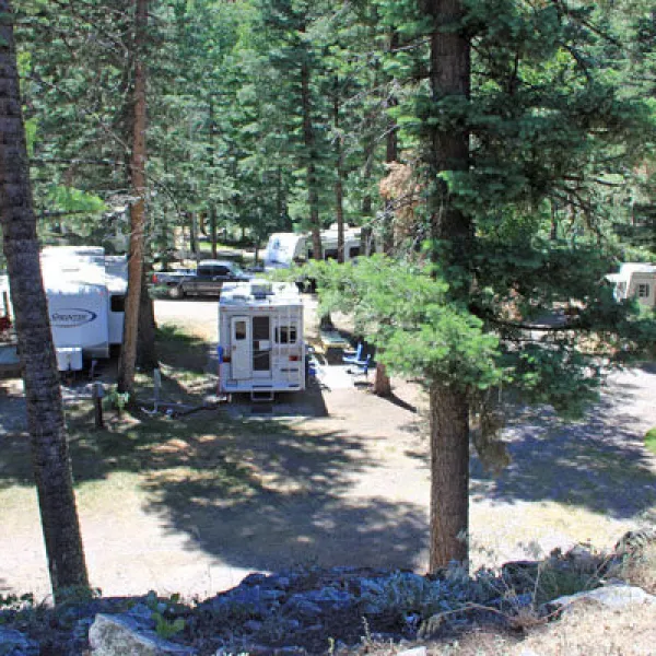 Blue Spruce RV Park