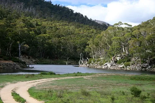 island-bend-campground-kosciuszko-national-park-lm0fg