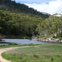 island-bend-campground-kosciuszko-national-park-lm0fg