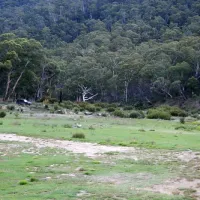 island-bend-campground-kosciuszko-national-park-r2uyh