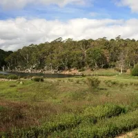 island-bend-campground-kosciuszko-national-park-zak3d