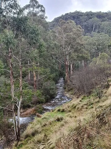 scott-reserve-campground-high-wycombe-iuvlt