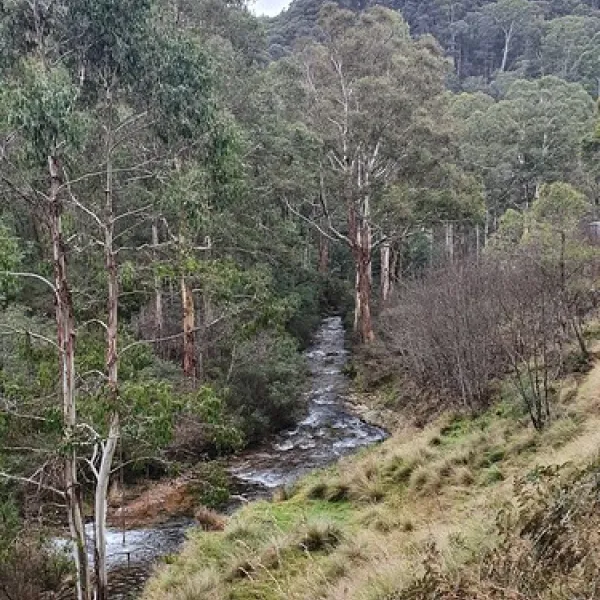 scott-reserve-campground-high-wycombe-iuvlt