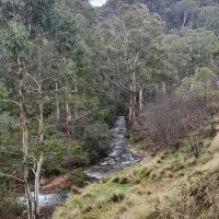 scott-reserve-campground-high-wycombe-iuvlt