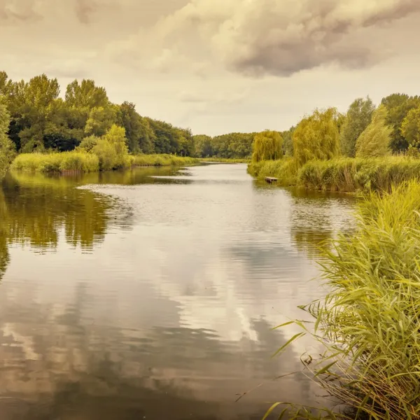 Natuurlijk Glamping