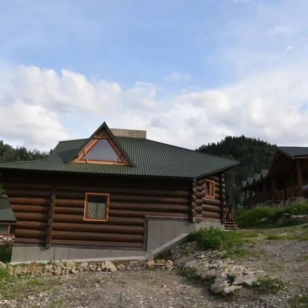 white-elephant-camp-verkhovyna-district-r2dm9