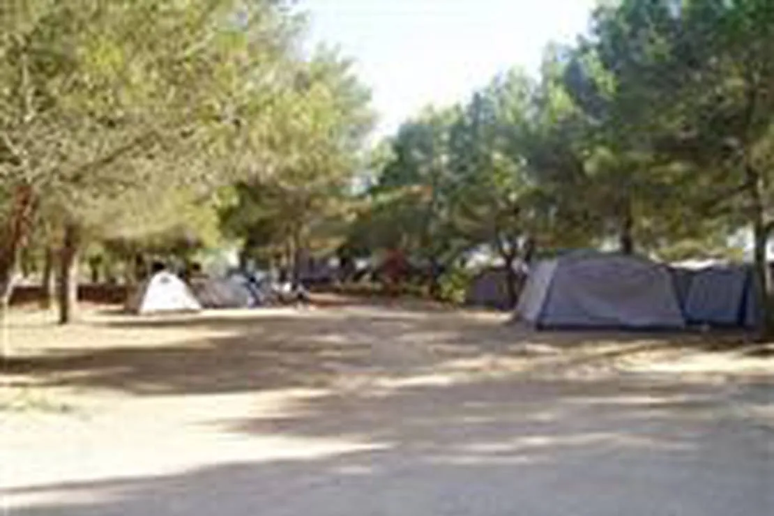 camping-satalaia-ferreries-ag2is