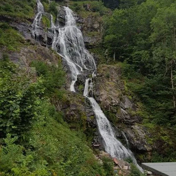 feriencamp-munstertal-munstertal-u7k4s