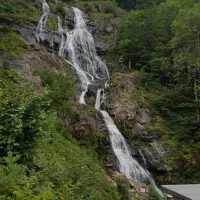feriencamp-munstertal-munstertal-u7k4s
