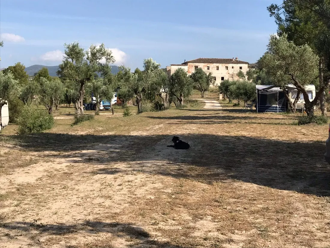 rural-la-masia-cocentaina-6t3wr