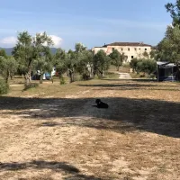 Rural La Masia