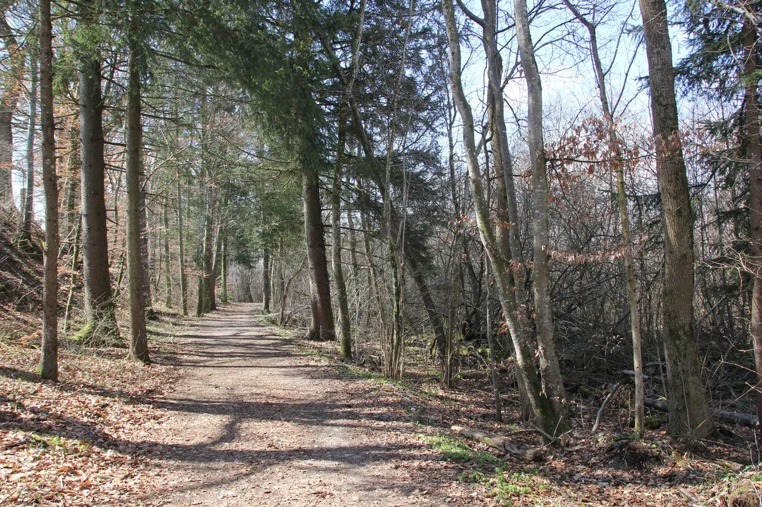 sport-ecke-chieming-ctftu