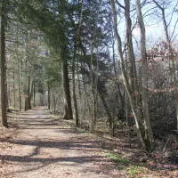 sport-ecke-chieming-ctftu
