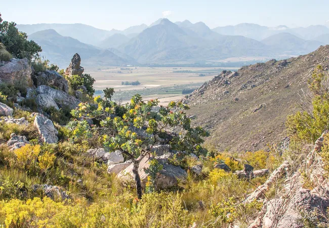 cederkloof-luxury-forest-camp-citrusdal-cederberg-09f6t