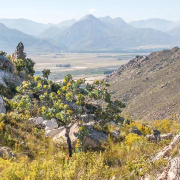 cederkloof-luxury-forest-camp-citrusdal-cederberg-09f6t