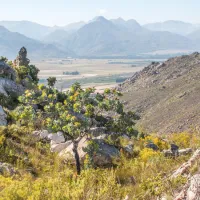 cederkloof-luxury-forest-camp-citrusdal-cederberg-09f6t