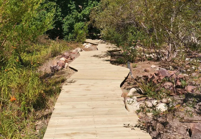 cederkloof-luxury-forest-camp-citrusdal-cederberg-frqwf