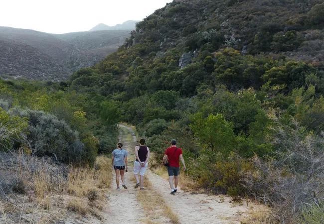 cederkloof-luxury-forest-camp-citrusdal-cederberg-lo76o