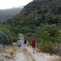 cederkloof-luxury-forest-camp-citrusdal-cederberg-lo76o