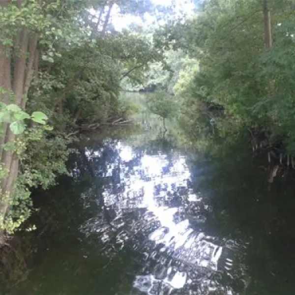 Naturcamping Seekamp  (Große Plöner See)