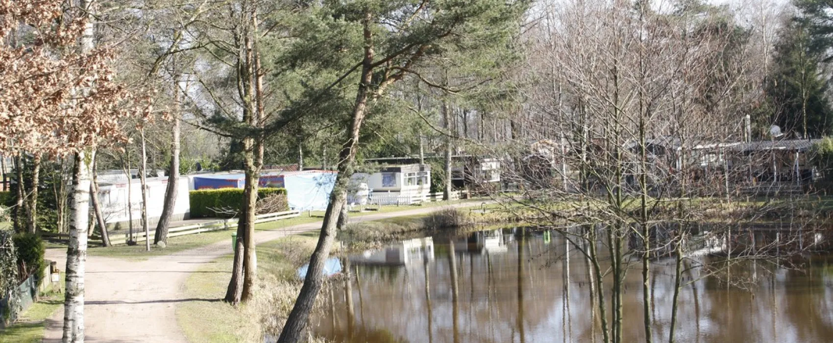 Het Berkenven