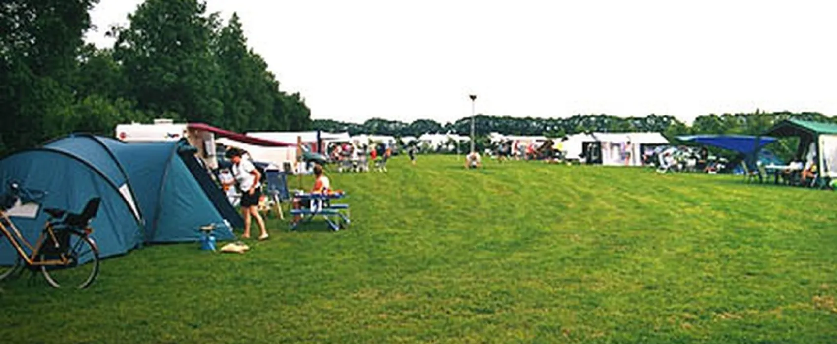 Het Berkenven