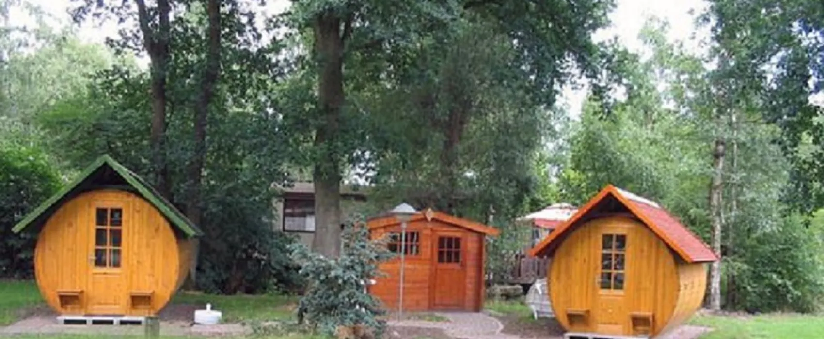 Het Berkenven