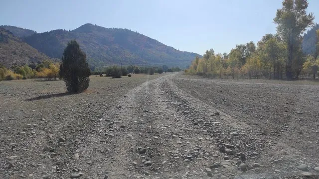 below-the-dam-camping-area-irwin-n0ou3
