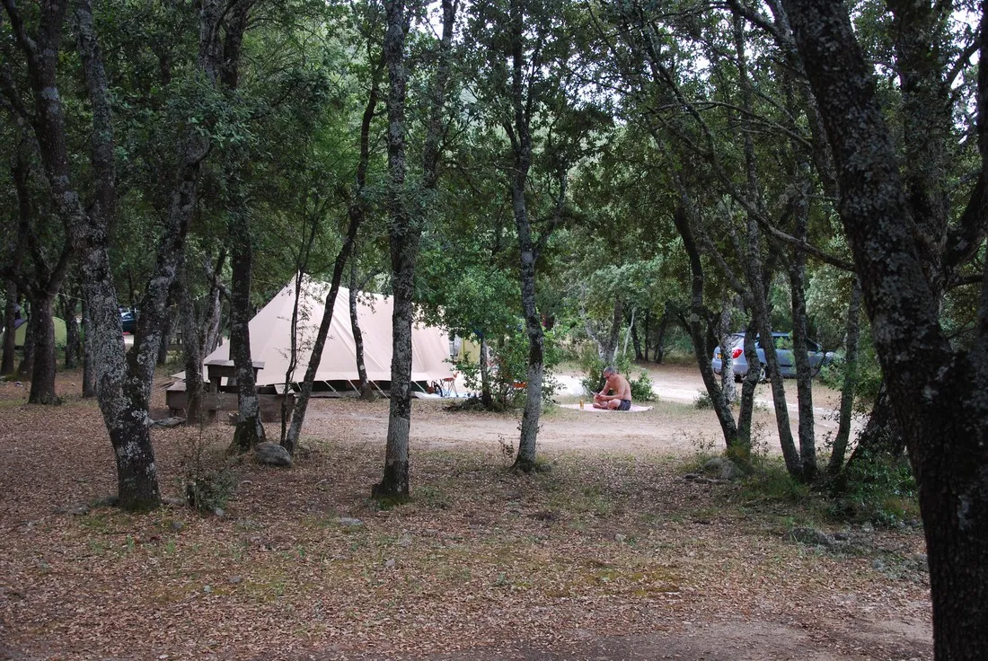 campita-francardo-nxpqf