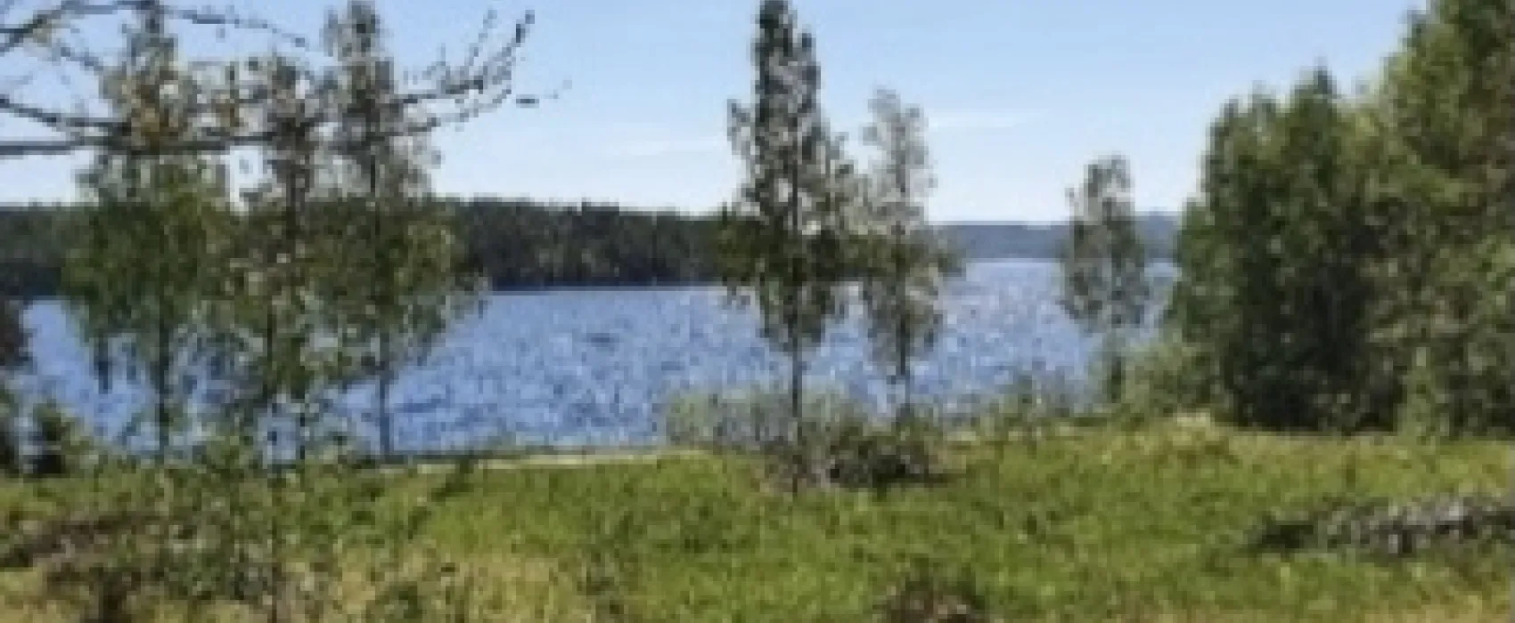 Bergviksparken