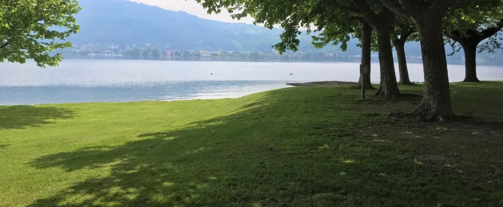 Rivabella