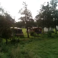 Rijnoever