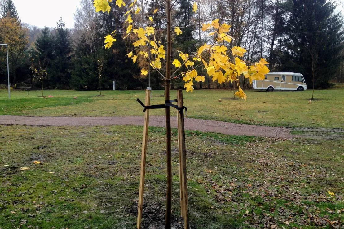 caravanparking-adrspach-teplice-nad-metuji-grlpp