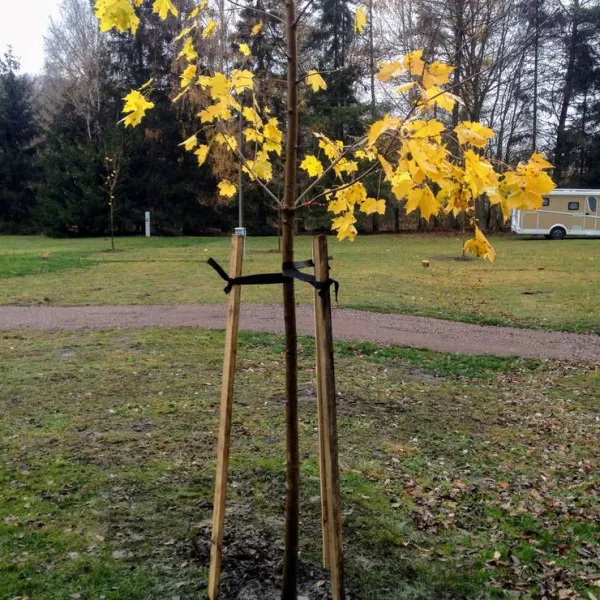 caravanparking-adrspach-teplice-nad-metuji-grlpp