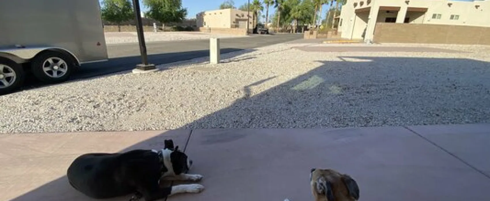 The Palms RV Resort