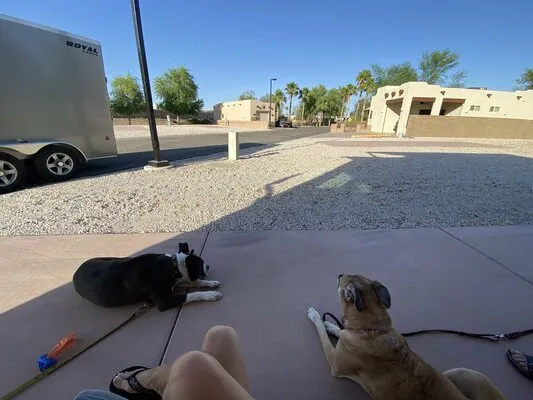 the-palms-rv-resort-yuma-a7jjk