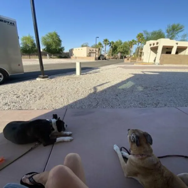 The Palms RV Resort