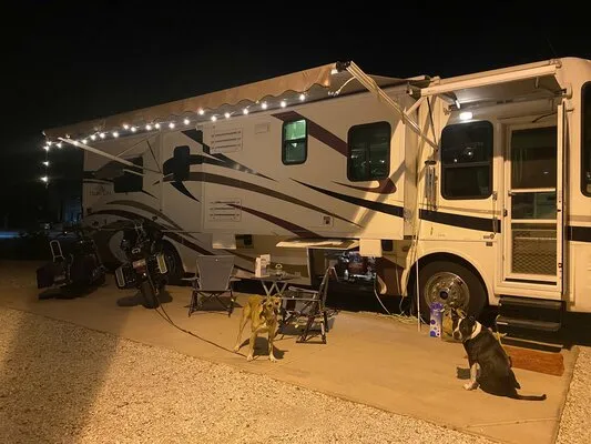 the-palms-rv-resort-yuma-pnvez